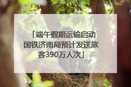 端午假期运输启动 国铁济南局预计发送旅客390万人次