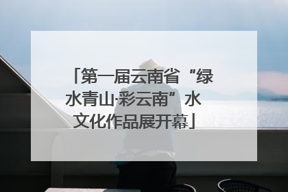 第一届云南省“绿水青山·彩云南”水文化作品展开幕