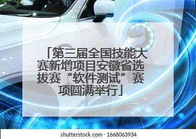 第三届全国技能大赛新增项目安徽省选拔赛“软件测试”赛项圆满举行