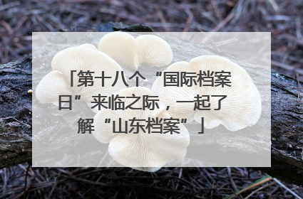 第十八个“国际档案日”来临之际，一起了解“山东档案”