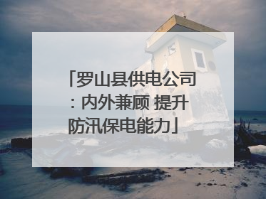 罗山县供电公司：内外兼顾 提升防汛保电能力