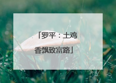 罗平：土鸡香飘致富路