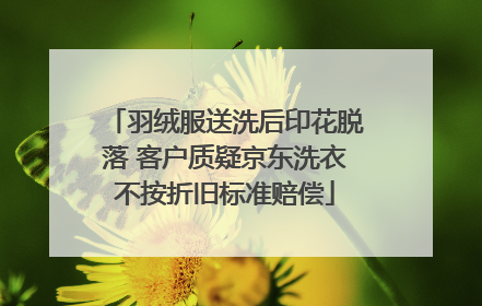 羽绒服送洗后印花脱落 客户质疑京东洗衣不按折旧标准赔偿
