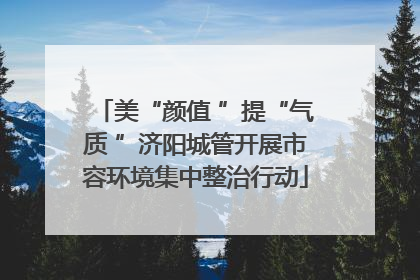 美“颜值 ”提“气质 ”济阳城管开展市容环境集中整治行动