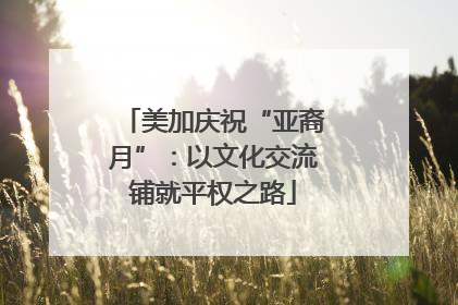 美加庆祝“亚裔月”：以文化交流铺就平权之路