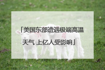 美国东部遭遇极端高温天气 上亿人受影响