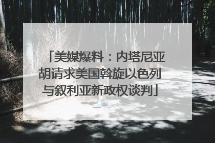 美媒爆料：内塔尼亚胡请求美国斡旋以色列与叙利亚新政权谈判