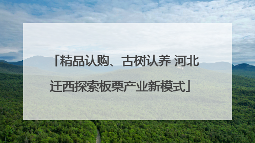 精品认购、古树认养 河北迁西探索板栗产业新模式