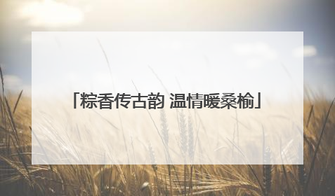 粽香传古韵 温情暖桑榆