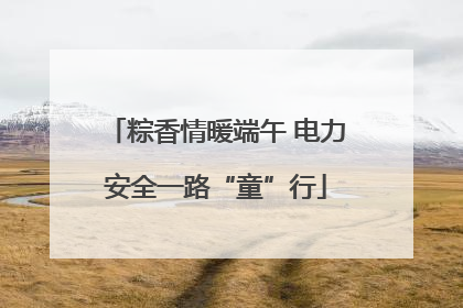 粽香情暖端午 电力安全一路“童”行