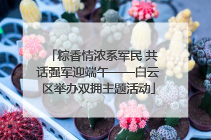 粽香情浓系军民 共话强军迎端午——白云区举办双拥主题活动