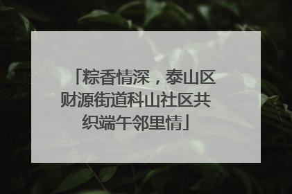 粽香情深，泰山区财源街道科山社区共织端午邻里情