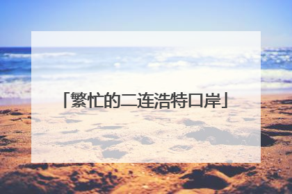 繁忙的二连浩特口岸