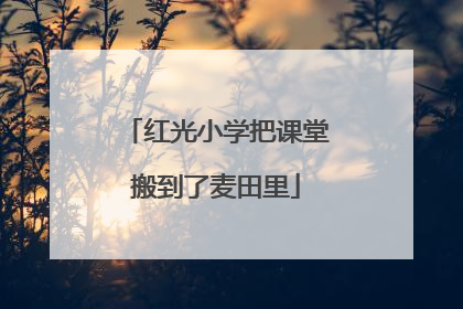 红光小学把课堂搬到了麦田里