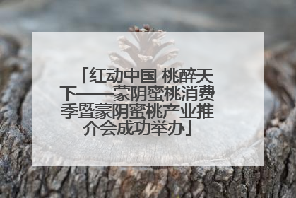 红动中国 桃醉天下——蒙阴蜜桃消费季暨蒙阴蜜桃产业推介会成功举办