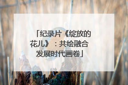 纪录片《绽放的花儿》：共绘融合发展时代画卷