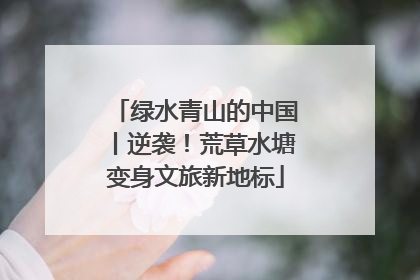绿水青山的中国丨逆袭！荒草水塘变身文旅新地标