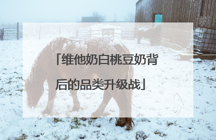 维他奶白桃豆奶背后的品类升级战