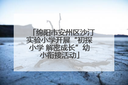 绵阳市安州区沙汀实验小学开展“初探小学 解密成长”幼小衔接活动