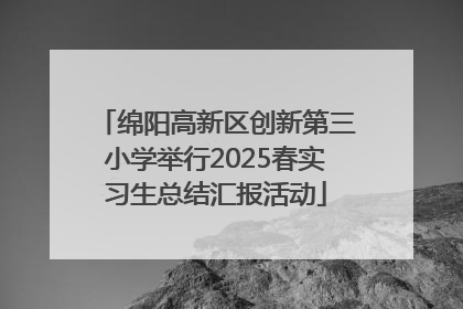 绵阳高新区创新第三小学举行2025春实习生总结汇报活动