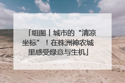 组图丨城市的“清凉坐标”！在株洲神农城里感受绿意与生机