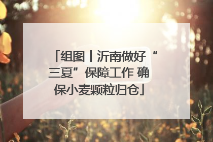 组图丨沂南做好“三夏”保障工作 确保小麦颗粒归仓