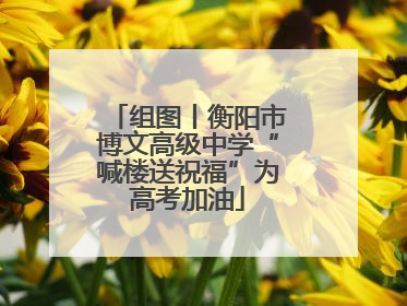 组图丨衡阳市博文高级中学“喊楼送祝福”为高考加油