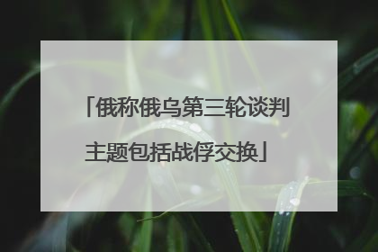 俄称俄乌第三轮谈判主题包括战俘交换