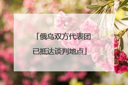 俄乌双方代表团已抵达谈判地点