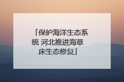 保护海洋生态系统 河北推进海草床生态修复