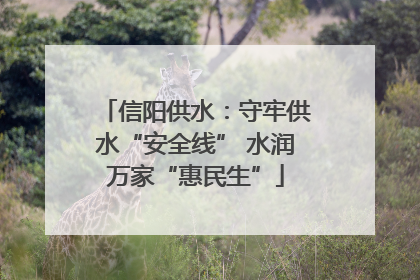 信阳供水：守牢供水“安全线” 水润万家“惠民生”