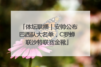 体坛联播｜安帅公布巴西队大名单，C罗蝉联沙特联赛金靴