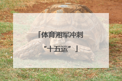 体育湘军冲刺“十五运”