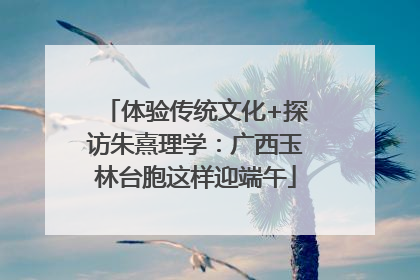 体验传统文化+探访朱熹理学：广西玉林台胞这样迎端午