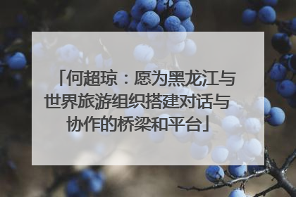 何超琼：愿为黑龙江与世界旅游组织搭建对话与协作的桥梁和平台