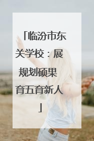 临汾市东关学校：展规划硕果 育五育新人