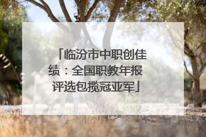 临汾市中职创佳绩：全国职教年报评选包揽冠亚军