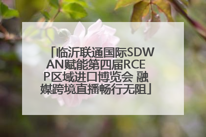临沂联通国际SDWAN赋能第四届RCEP区域进口博览会 融媒跨境直播畅行无阻