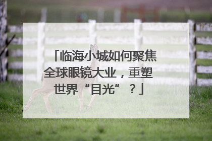 临海小城如何聚焦全球眼镜大业，重塑世界“目光”？