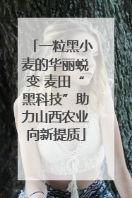 一粒黑小麦的华丽蜕变 麦田“黑科技”助力山西农业向新提质