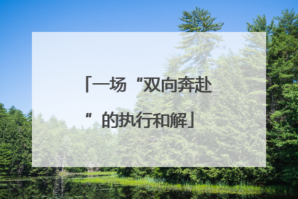 一场“双向奔赴”的执行和解