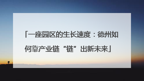 一座园区的生长速度：德州如何靠产业链“链”出新未来