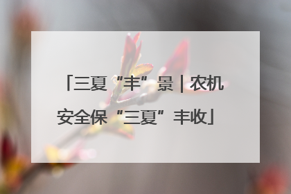 三夏“丰”景｜农机安全保“三夏”丰收
