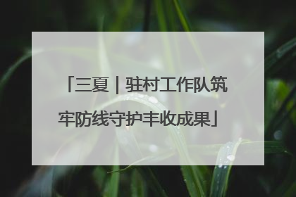 三夏｜驻村工作队筑牢防线守护丰收成果