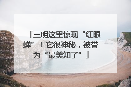 三明这里惊现“红眼蝉”！它很神秘，被誉为“最美知了”