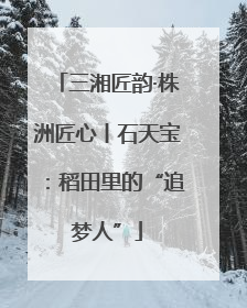 三湘匠韵·株洲匠心丨石天宝：稻田里的“追梦人”