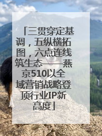 三贯穿定基调，五纵横拓图，六点连线筑生态——燕京510以全域营销战略登顶行业IP新高度