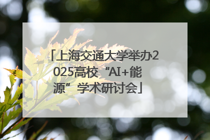 上海交通大学举办2025高校“AI+能源”学术研讨会