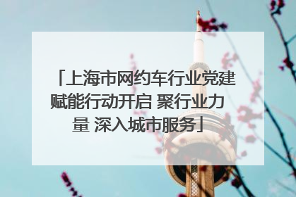 上海市网约车行业党建赋能行动开启 聚行业力量 深入城市服务