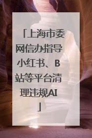 上海市委网信办指导小红书、B站等平台清理违规AI